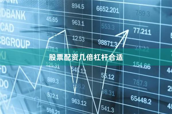 股票配资几倍杠杆合适